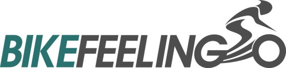 logo_bikefeeling_2021-RGB-300-01.png  