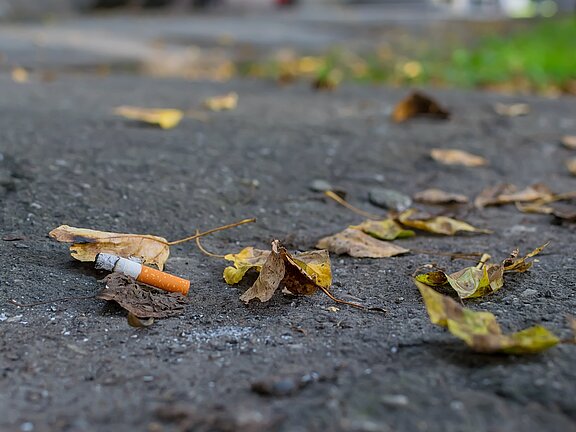 cigarette-butt-lies-on-the-asphalt-path-on-the-fallen-autumn-leaves-surface-background-butt-cig_t20_jRrBzk.jpg  