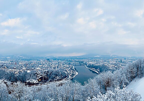 Linz_Ausblick_Schnee_Franz_Josef_Warte_Donau_Stadtpartei_20210111.jpg  